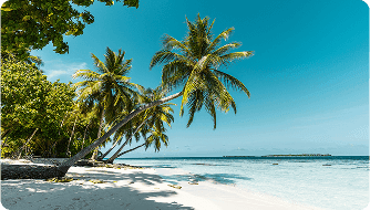 DER Touristik Improves Customer Retention & Marketing ROI