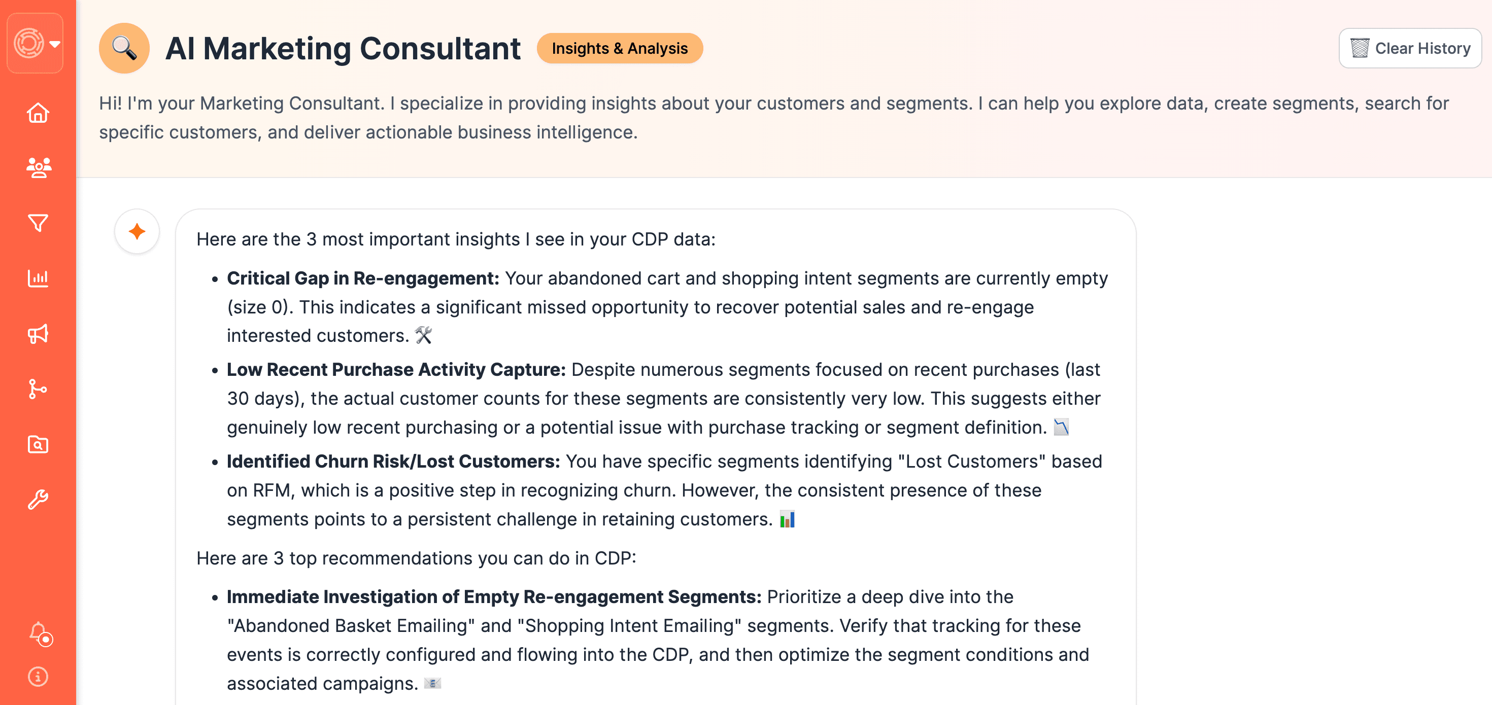 ai cdp data insights
